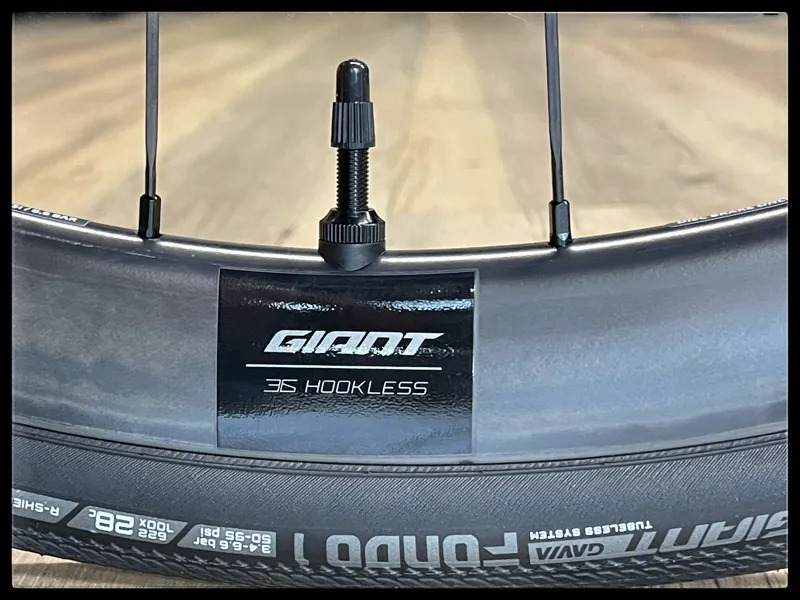 Giant TCR ADVANCED PRO DISC 1 AR Gloss Charcoal Plum 2023-12